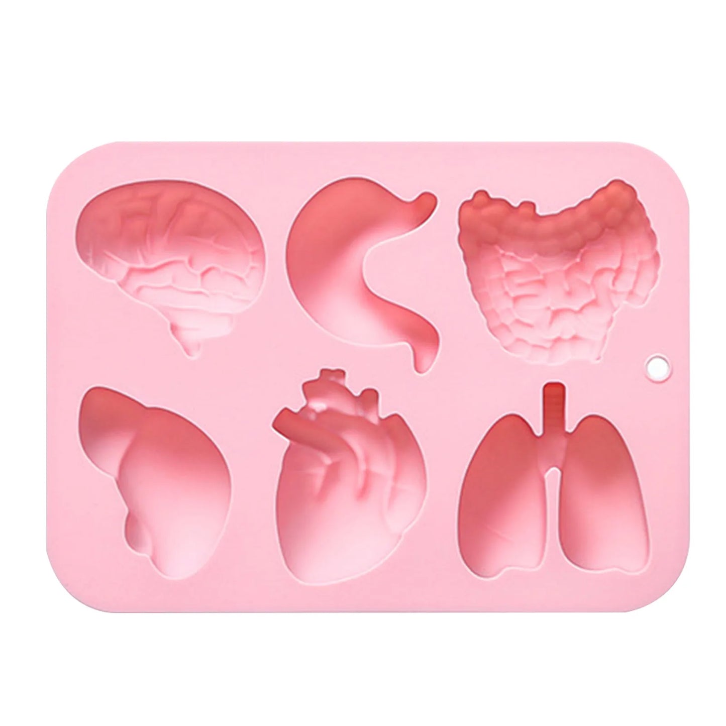 Human Organs Silicone Molds Heart Liver Brain Fondant Mold DIY Chocolate Candy Halloween Cake Decorating Tools