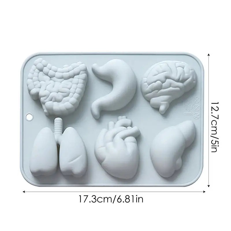 Human Organs Silicone Molds Heart Liver Brain Fondant Mold DIY Chocolate Candy Halloween Cake Decorating Tools
