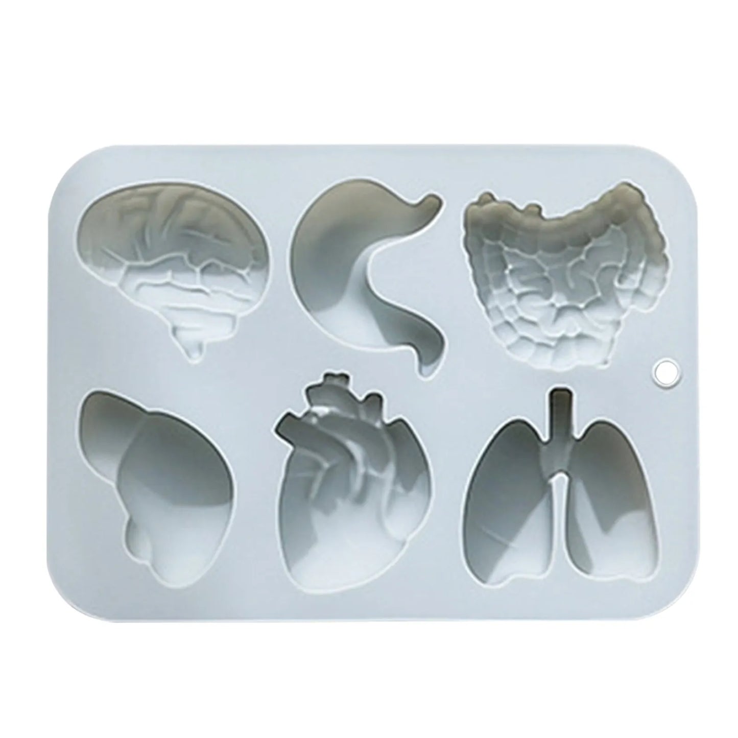 Human Organs Silicone Molds Heart Liver Brain Fondant Mold DIY Chocolate Candy Halloween Cake Decorating Tools
