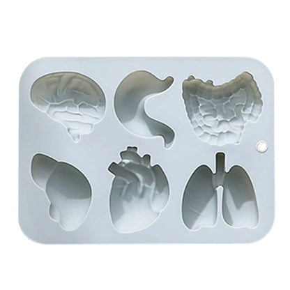Human Organs Silicone Molds Heart Liver Brain Fondant Mold DIY Chocolate Candy Halloween Cake Decorating Tools